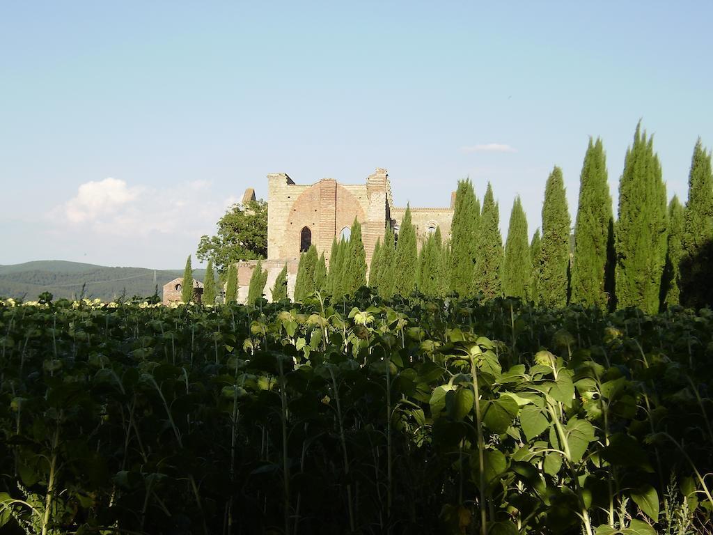 La Fattoria Montalcinello Affittacamere Chiusdino Esterno foto